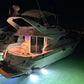 Sea ray FlyBridge 48Ft