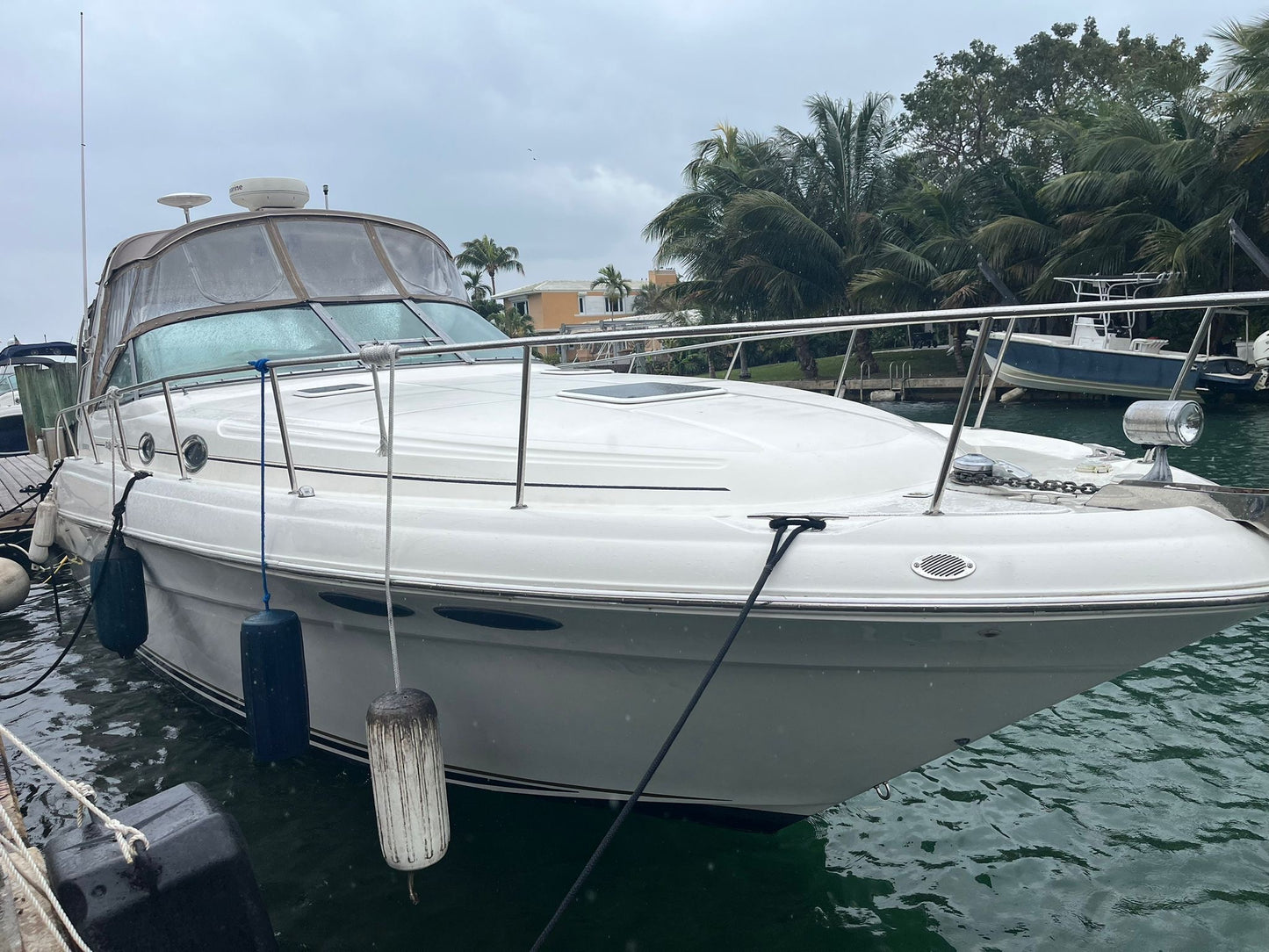 Sea ray 36Ft