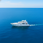 80Ft Uniese
