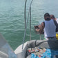 Sea ray 36Ft