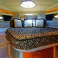 38FT REGAL