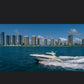 45FT NEW SEA RAY